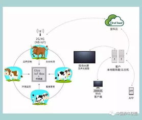 一個(gè)你不知道的神器！不了解它，連牛羊都不讓你養(yǎng)，你還談什么智慧養(yǎng)殖？